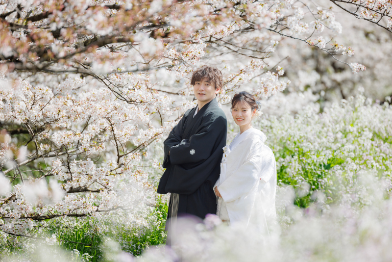 桜キャンペーン｜ロケーションフォト&yen;118,800&rarr;￥96,800（税込）＊和装基本プラン＊データ100cut付