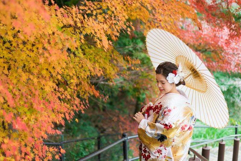 季節を感じられる一枚