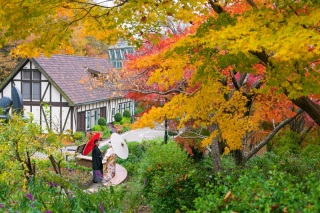 秋の紅葉とともに