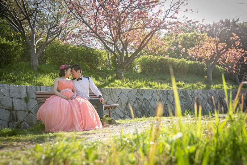 春らしいお天気の中で