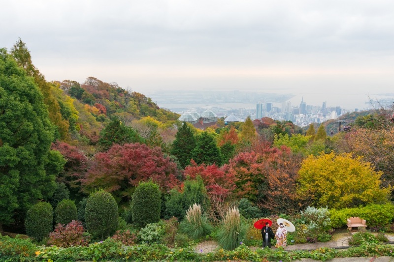 神戸の街を一望できる場所