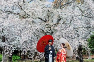クチュールナオコ神戸店_桜ロケーション
