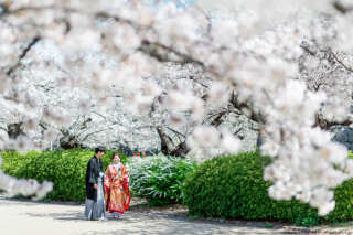 クチュールナオコ神戸店_桜ロケーション