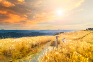 思い出の場所をより美しく残します