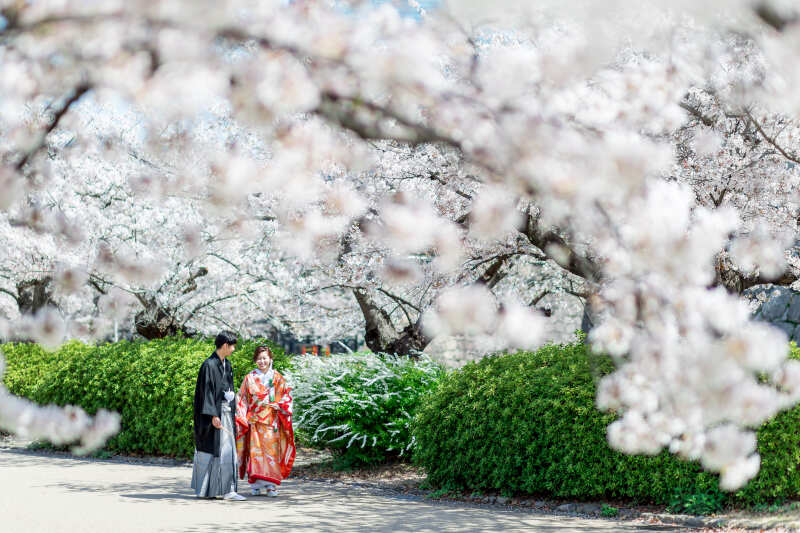 桜キャンペーン｜ロケーションフォト期間限定￥22,000オフ！【データ50カット込み】＊和装or洋装基本プラン