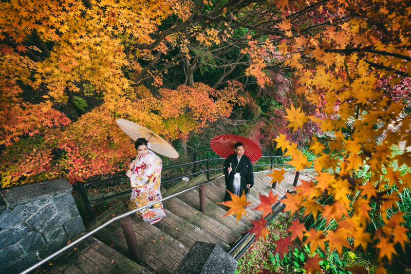 秋限定の人気企画《紅葉フォトキャンペーン》¥137,500 → ¥115,500(税込)*基本プラン*データ50cut付