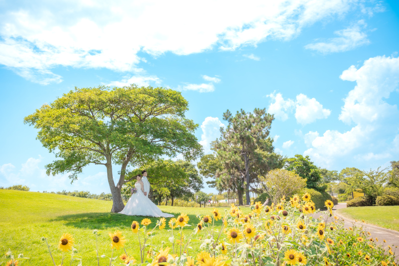 青い空にひまわりと❁