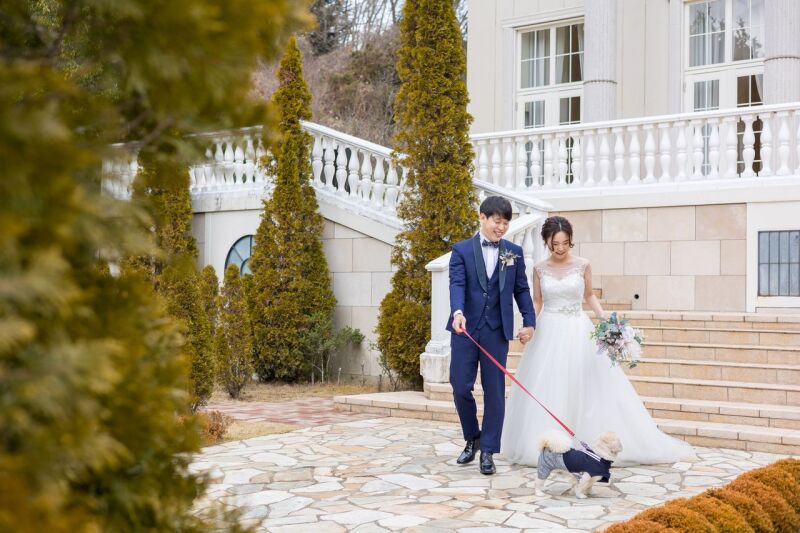 ペットと一緒に