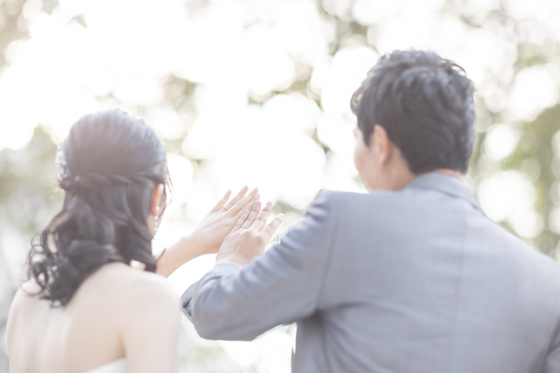 木漏れ日に手をかざして・・