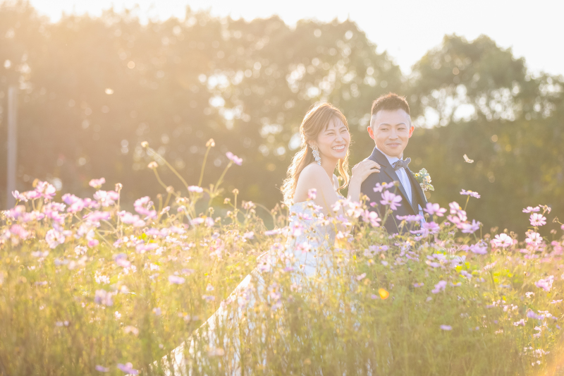 夕日×コスモス