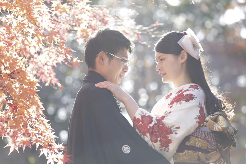 柔らかい光の中