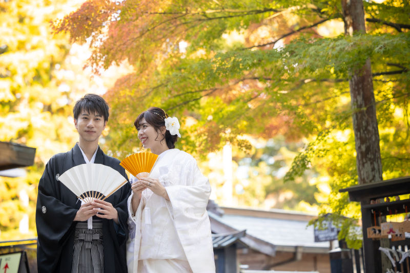 紅葉が美しい1枚。