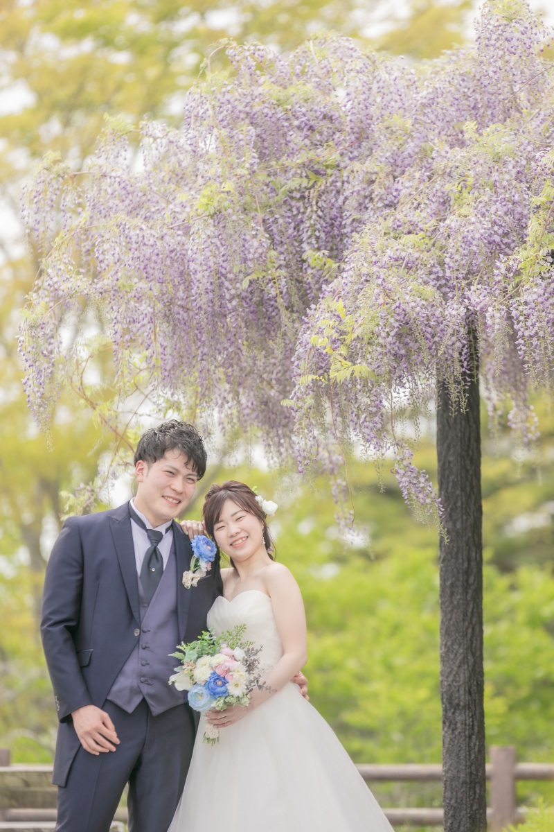 満開の藤の下で