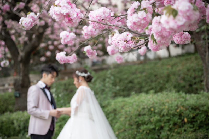 榴ヶ岡公園で桜ロケフォト