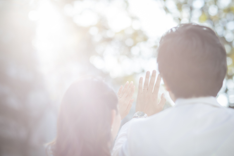 太陽の光に手をかざして…
