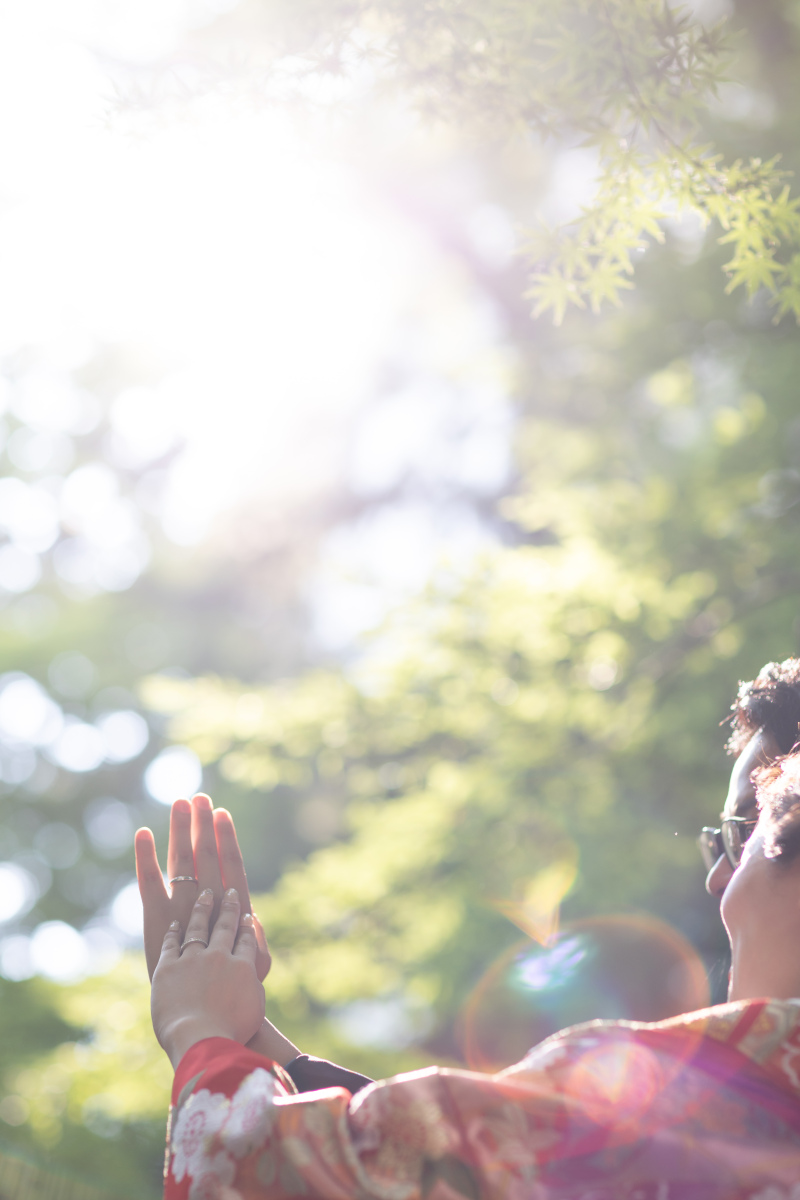 木漏れ日と逆光ショットはとてもロマンティック。