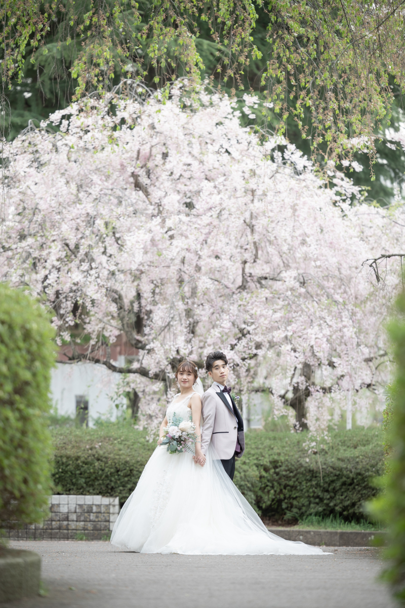 美しいしだれ桜と、思い出のワンショット。