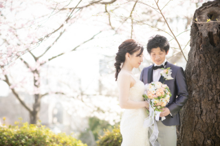 桜２ロケーションフォト