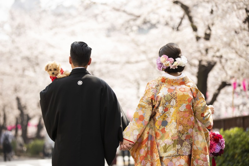 和装・洋装、ご希望のお衣裳で♪