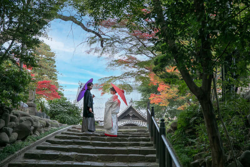 穏やかな時間がゆっくり流れる趣ある神社仏閣の庭園