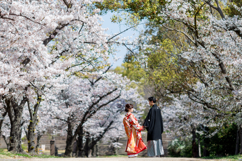 桜キャンペーン｜ロケーションフォト&yen;118,800 &rarr; &yen;96,800（税込）＊和装基本プラン＊データ50cut付