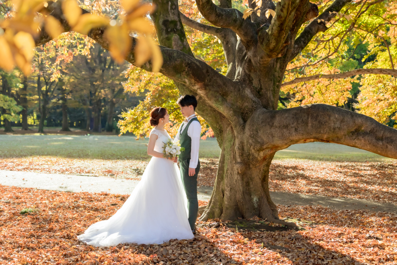 emorma photowedding_ウエディングドレスが豊富