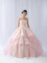 Pinkgarbera ﾋﾟﾝｸｶﾞｰﾍﾞﾗ