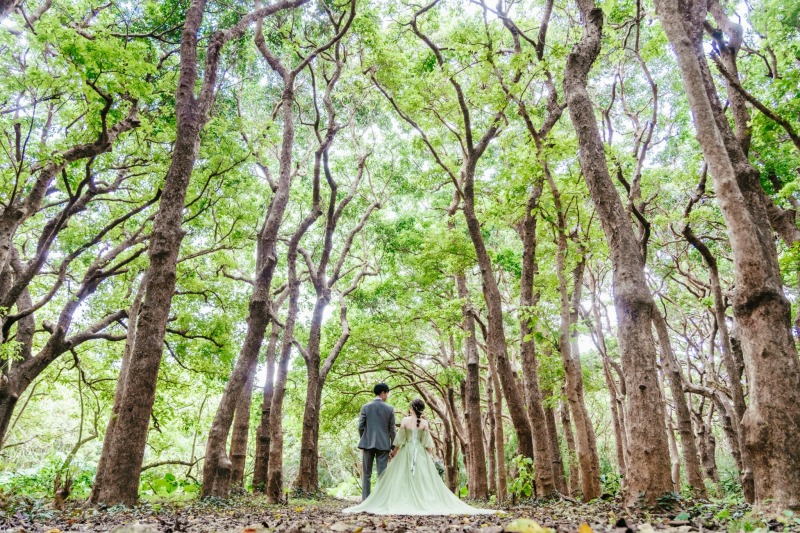 爽やかなグリーン