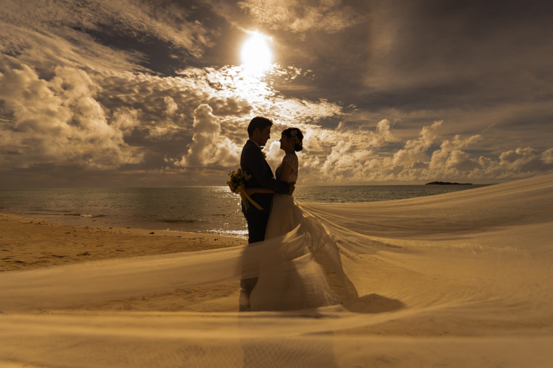 息をのむ美しさ