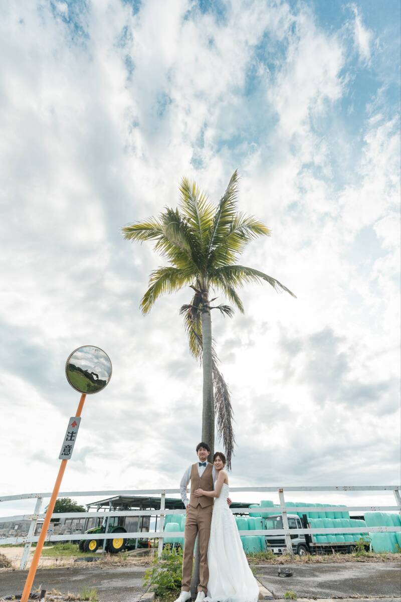 ヤシの木の下で