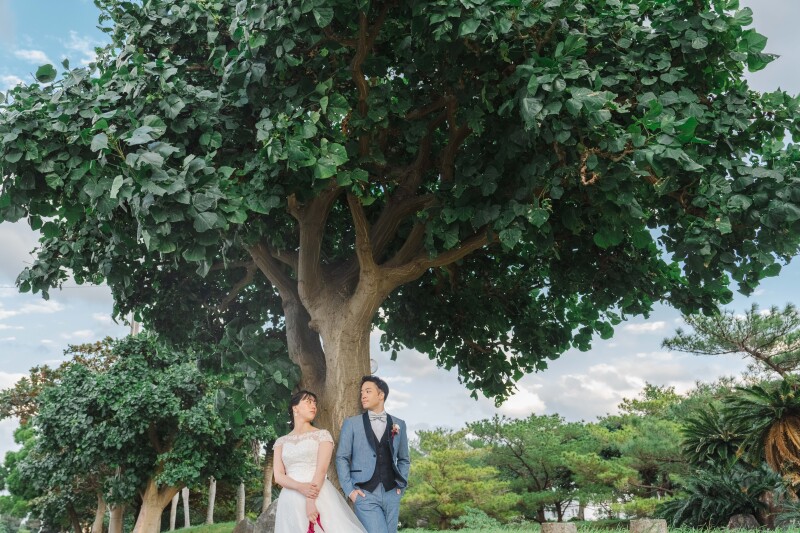 大樹に祝福される愛の瞬間