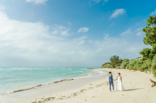 宮古島で完全指名オーダー宮古ブルーの海と多彩な自然を巡るフォトツアー