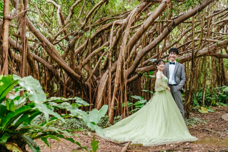 南国のグリーンに囲まれて