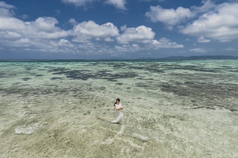 オールインクルーシブフォト&ムービーウェディング［E-lab］エラボ　〜完全指名フォト〜_ドローン撮影できる