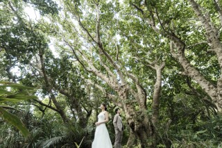 ビーチはもちろん、石垣島特有の大自然スポットで美しく