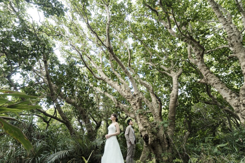 ビーチはもちろん、石垣島特有の大自然スポットで美しく