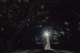 光を味方につけ　幻想的な大自然撮影を