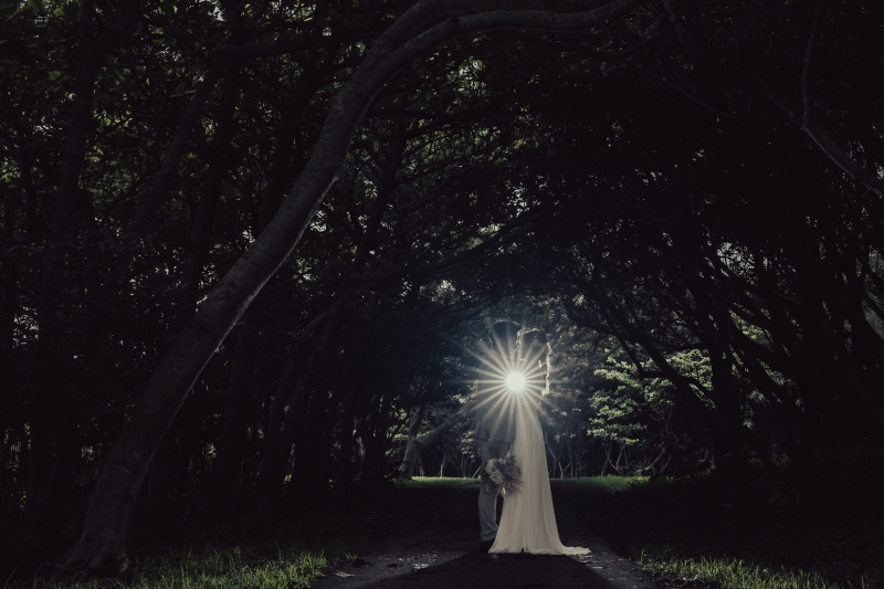 光を味方につけ　幻想的な大自然撮影を