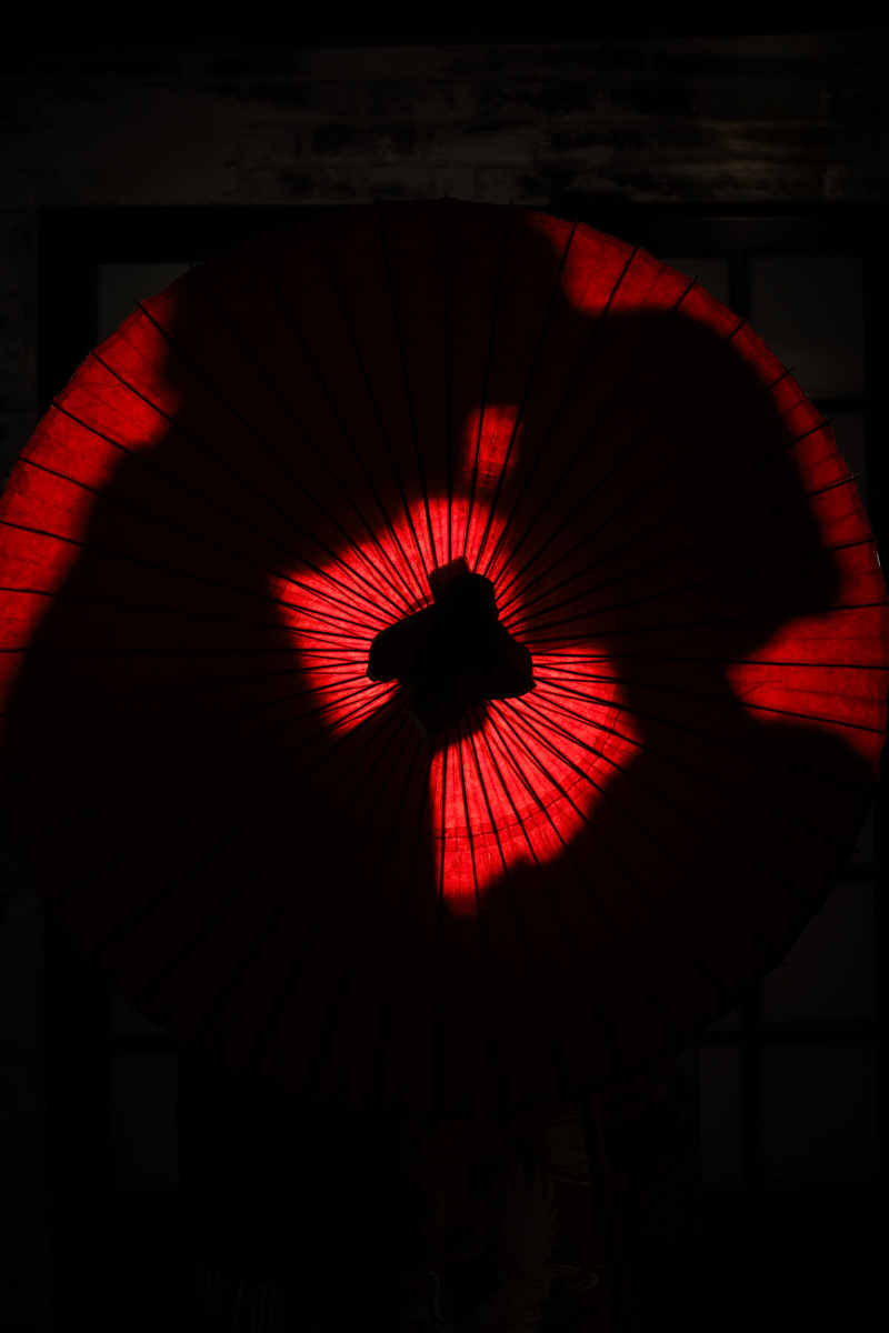 和傘に写るシルエット。