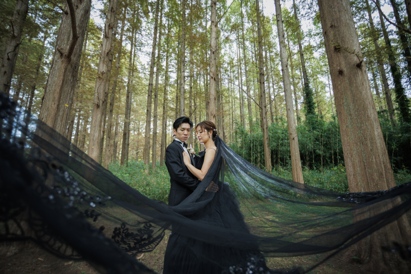 ベールを纏い寄り添う静けさ