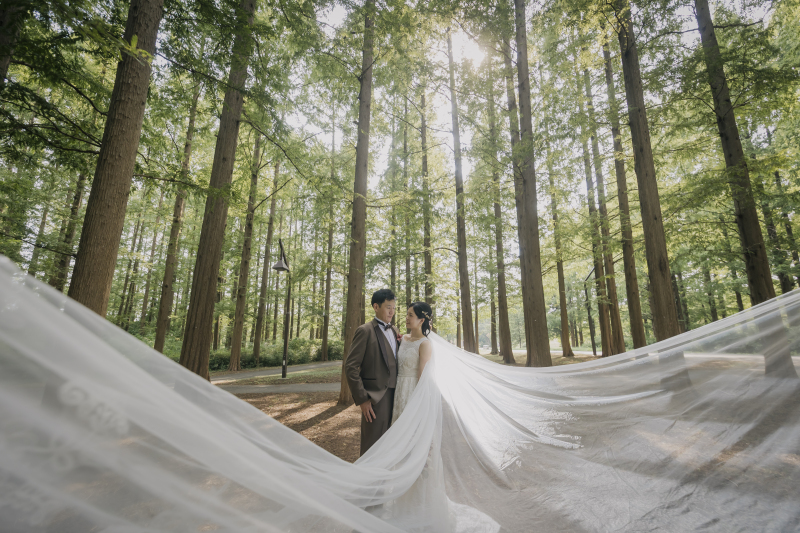 ベールに包まれて