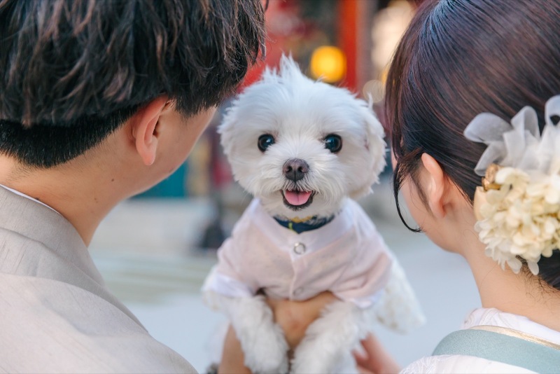 家族の輪に加わる小さな存在