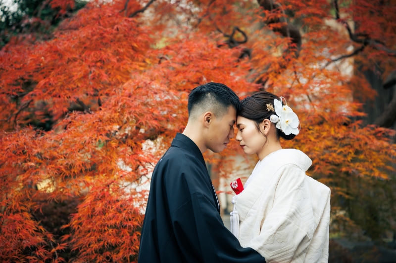 真紅の紅葉を背に額を合わせるふたりの親密さ