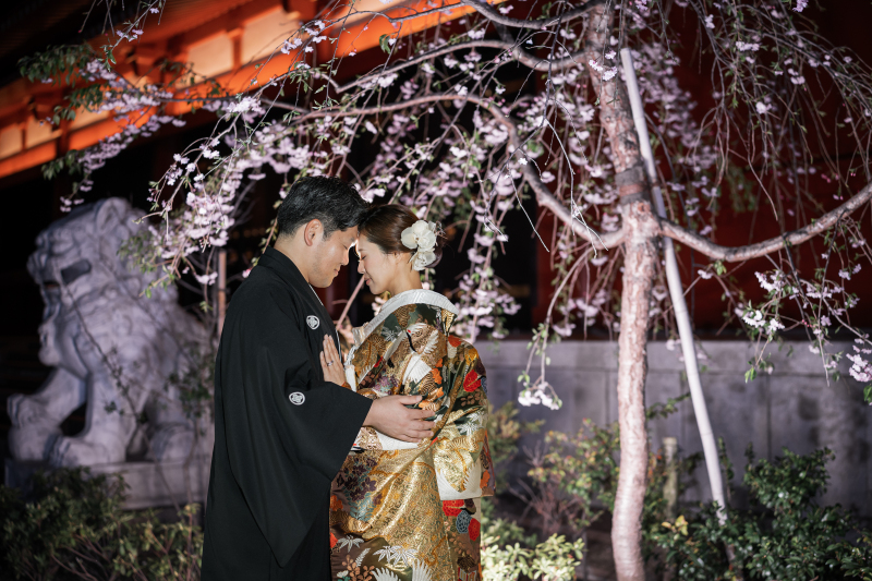 夜桜の下で手を合わせる真剣な横顔