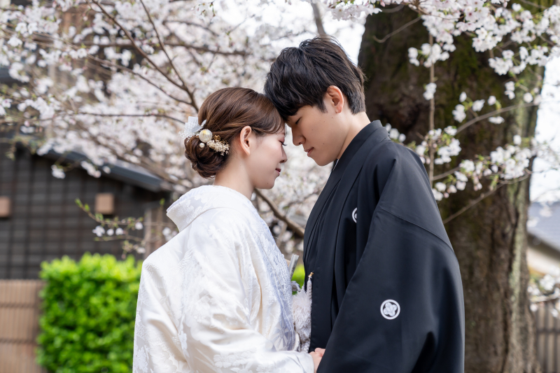 桜の下で額を寄せ合うふたりの静けさ