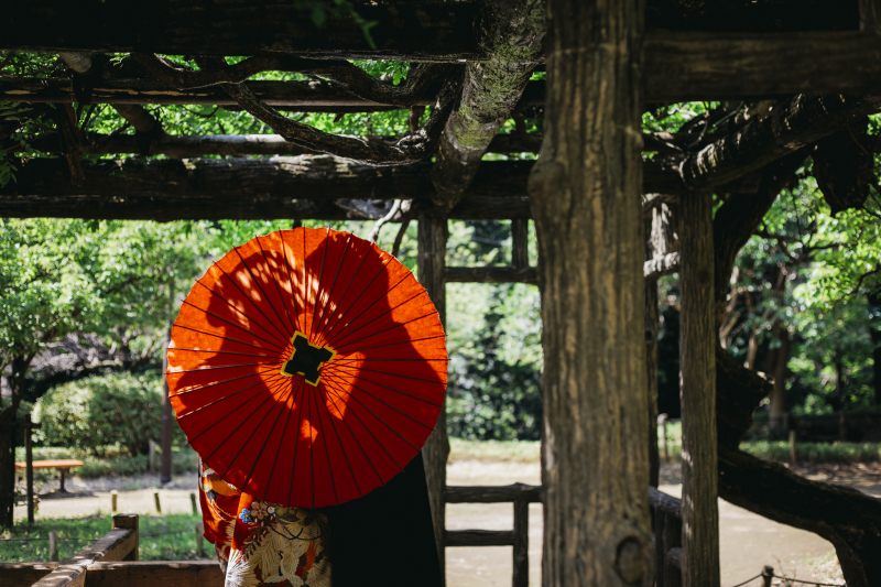 番傘シルエット