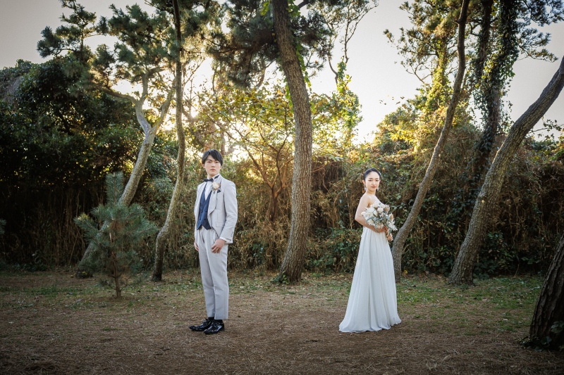 逆光の木立に向き合う静けさ