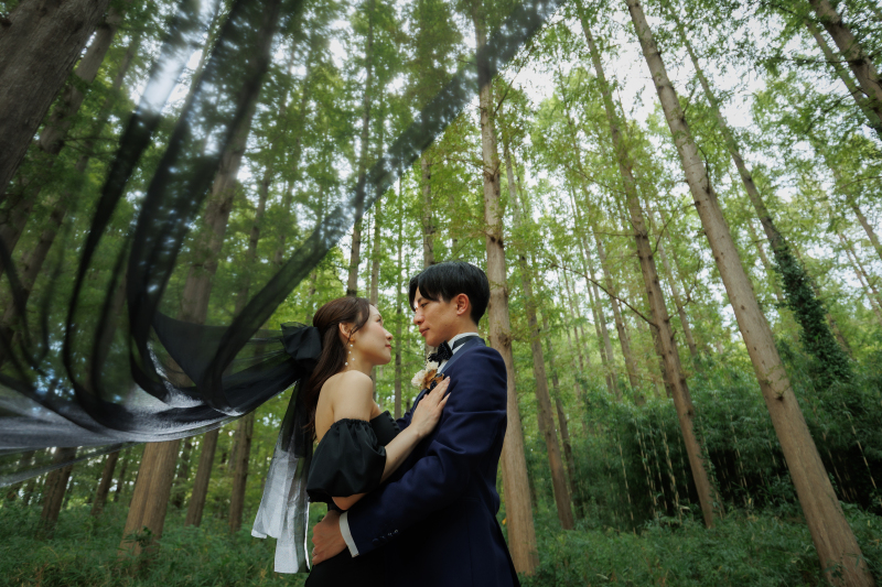 森の中でひらり、誓いの風