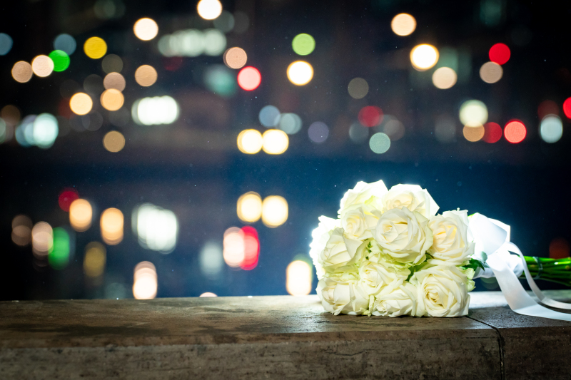 夜景の明かりと・・・