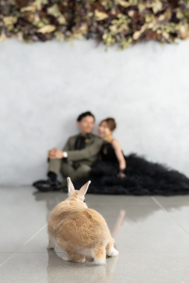 うさぎと一緒に撮影スタート